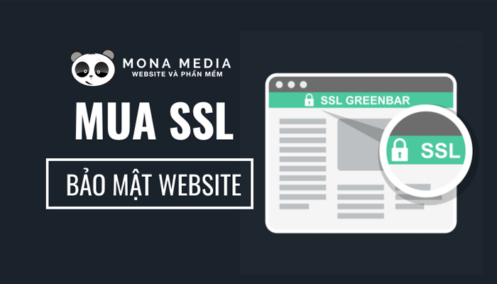 Nhà cung cấp chứng chỉ TLS/SSL - Mona Media