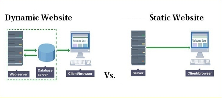 Nên sử dụng website động hay website tĩnh