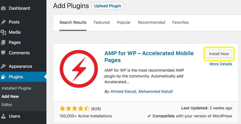 amp wordpress