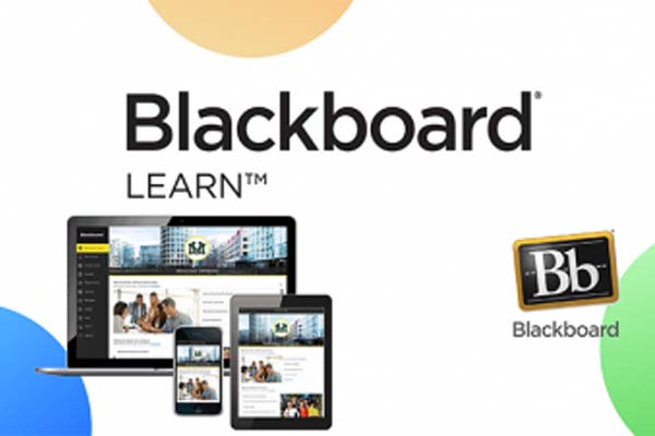 Phần mềm LMS Blackboard