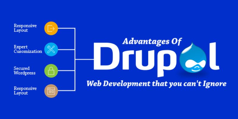 Lợi ích khi ứng dụng Drupal trong lập trình website là gì?