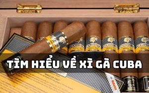 xì gà cuba