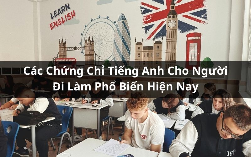 chứng chỉ tiếng anh cho người đi làm