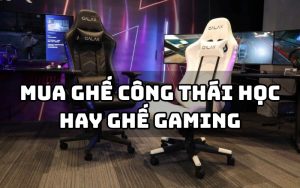 nên mua ghế công thái học hay ghế gaming
